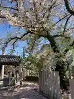 菅原神社の{uncategorized: "未分類", other: "その他", undefined: "問題あり", building: "その他建物", grave: "お墓", sacred_gate: "鳥居", guardian: "狛犬", statue: "像", buddha: "仏像", history: "歴史", nature: "自然", garden: "庭園", animal: "動物", pagoda: "塔", temizu: "手水舎", mountain_gate: "山門・神門", sanctuary: "本殿・本堂", subordinate: "末社・摂社", art: "芸術", scenery: "景色", jizo: "地蔵", ema: "絵馬", goshuin: "御朱印", omikuji: "おみくじ", items: "授与品その他", amulet: "お守り", goshuincho: "御朱印帳", eats: "食事", festival: "お祭り", votive_dance: "神楽", shichigosan: "七五三参", wedding: "結婚式", experience: "体験その他", initially: "初詣", around: "周辺", anti_infection: "感染症対策"}