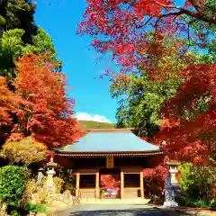 普門寺(切り絵御朱印発祥の寺)(愛知県)