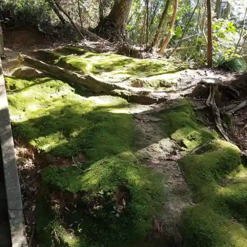 八幡神社の自然