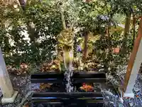 八坂神社(奈良県)