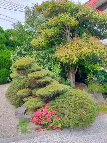 顕常寺(大阪府)