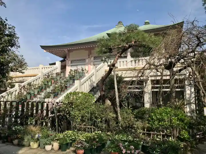 薬師寺 南蔵院 (東京都)