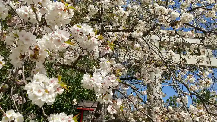 市原稲荷神社の自然