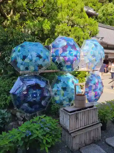 柳谷観音　楊谷寺(京都府)