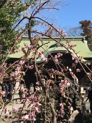 菊田神社の自然