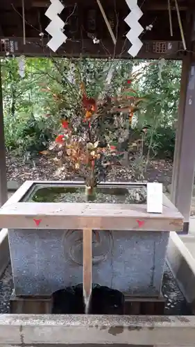 赤坂氷川神社の手水