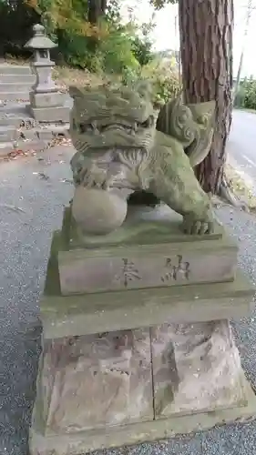 妙見神社の狛犬