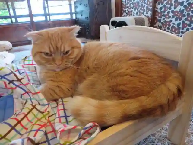 晴明神社(京都府)