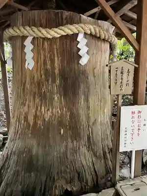 大神神社(奈良県)