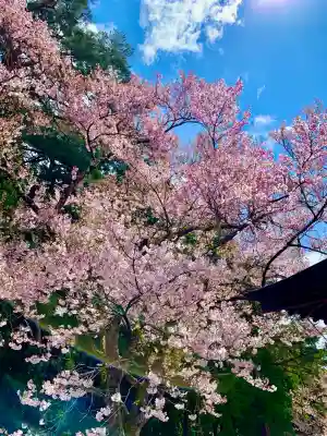 土津神社｜こどもと出世の神さま(福島県)