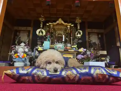 聖光寺のその他建物