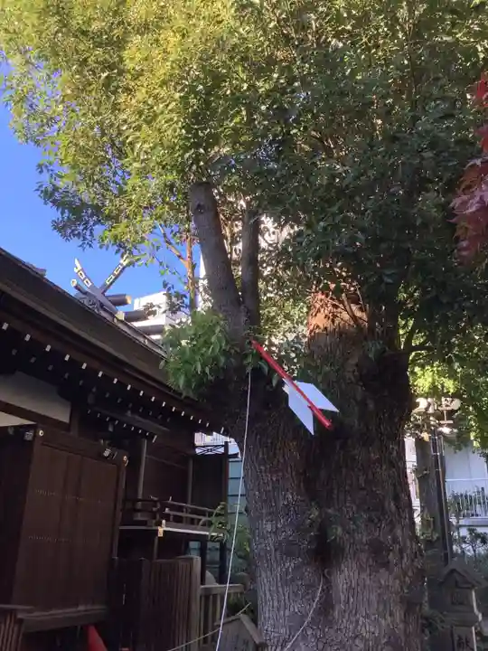 三輪神社のその他建物