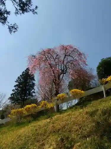 不動院(栃木県)