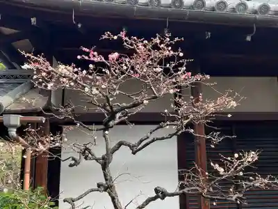 観智院（東寺子院）(京都府)