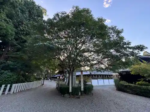 沙沙貴神社(滋賀県)