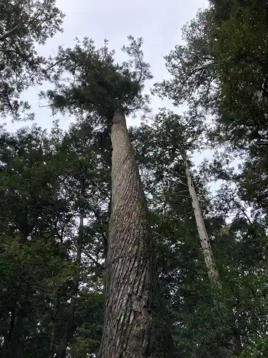 瀧原宮(皇大神宮別宮)(三重県)