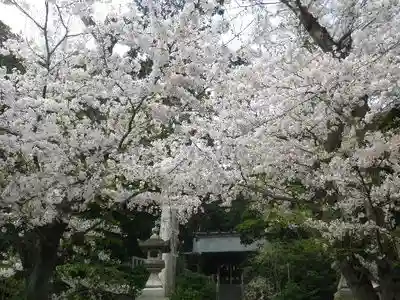 甘縄神明神社(甘縄神明宮)の自然