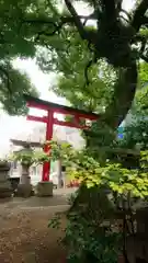 春日神社の鳥居