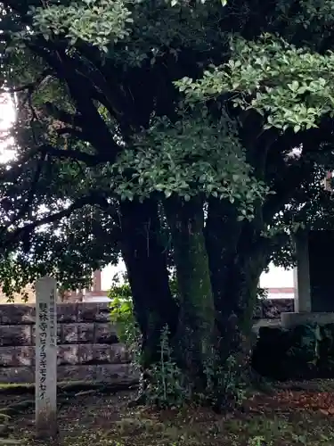 雙林寺(群馬県)