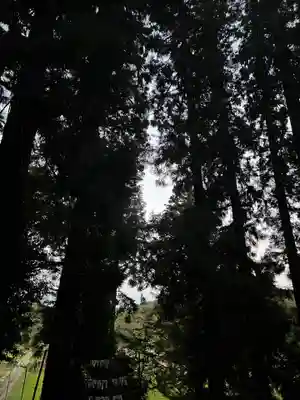 大宮温泉神社(栃木県)