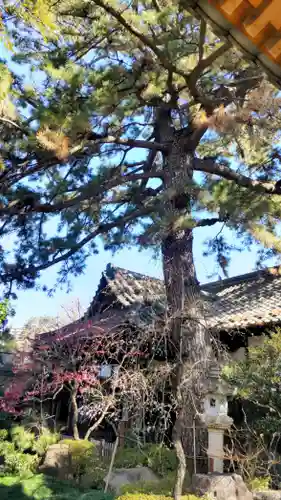 玄国寺(東京都)