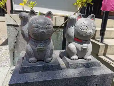 今戸神社の狛犬