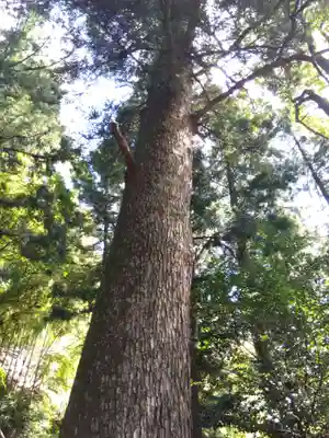 気比神社(福井県)
