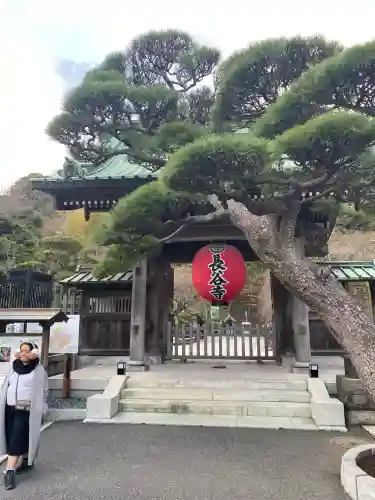 長谷寺(神奈川県)