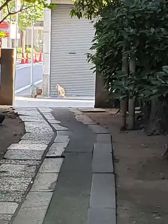 銀杏岡八幡神社の庭園
