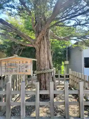 湯倉神社の{uncategorized: "未分類", other: "その他", undefined: "問題あり", building: "その他建物", grave: "お墓", sacred_gate: "鳥居", guardian: "狛犬", statue: "像", buddha: "仏像", history: "歴史", nature: "自然", garden: "庭園", animal: "動物", pagoda: "塔", temizu: "手水舎", mountain_gate: "山門・神門", sanctuary: "本殿・本堂", subordinate: "末社・摂社", art: "芸術", scenery: "景色", jizo: "地蔵", ema: "絵馬", goshuin: "御朱印", omikuji: "おみくじ", items: "授与品その他", amulet: "お守り", goshuincho: "御朱印帳", eats: "食事", festival: "お祭り", votive_dance: "神楽", shichigosan: "七五三参", wedding: "結婚式", experience: "体験その他", initially: "初詣", around: "周辺", anti_infection: "感染症対策"}