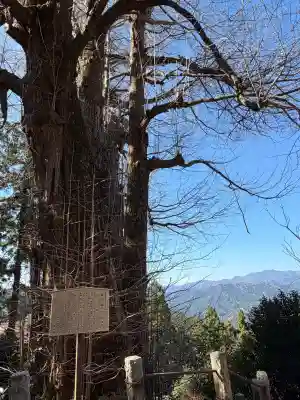 高山不動尊常楽院の{uncategorized: "未分類", other: "その他", undefined: "問題あり", building: "その他建物", grave: "お墓", sacred_gate: "鳥居", guardian: "狛犬", statue: "像", buddha: "仏像", history: "歴史", nature: "自然", garden: "庭園", animal: "動物", pagoda: "塔", temizu: "手水舎", mountain_gate: "山門・神門", sanctuary: "本殿・本堂", subordinate: "末社・摂社", art: "芸術", scenery: "景色", jizo: "地蔵", ema: "絵馬", goshuin: "御朱印", omikuji: "おみくじ", items: "授与品その他", amulet: "お守り", goshuincho: "御朱印帳", eats: "食事", festival: "お祭り", votive_dance: "神楽", shichigosan: "七五三参", wedding: "結婚式", experience: "体験その他", initially: "初詣", around: "周辺", anti_infection: "感染症対策"}