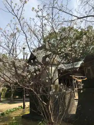 草木八幡神社(福岡県)