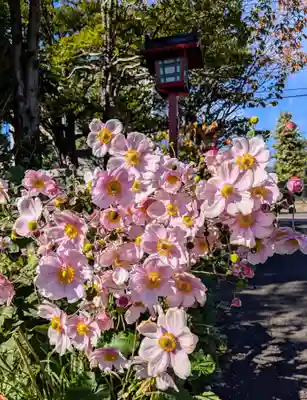 発寒神社(北海道)