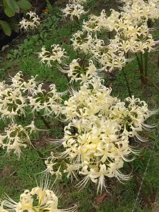 横浜 西方寺(神奈川県)