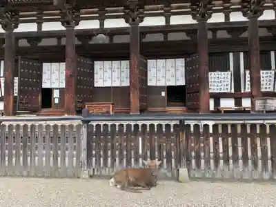 興福寺の本殿・本堂