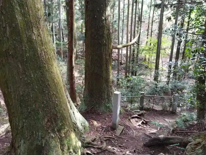 首塚大明神の{uncategorized: "未分類", other: "その他", undefined: "問題あり", building: "その他建物", grave: "お墓", sacred_gate: "鳥居", guardian: "狛犬", statue: "像", buddha: "仏像", history: "歴史", nature: "自然", garden: "庭園", animal: "動物", pagoda: "塔", temizu: "手水舎", mountain_gate: "山門・神門", sanctuary: "本殿・本堂", subordinate: "末社・摂社", art: "芸術", scenery: "景色", jizo: "地蔵", ema: "絵馬", goshuin: "御朱印", omikuji: "おみくじ", items: "授与品その他", amulet: "お守り", goshuincho: "御朱印帳", eats: "食事", festival: "お祭り", votive_dance: "神楽", shichigosan: "七五三参", wedding: "結婚式", experience: "体験その他", initially: "初詣", around: "周辺", anti_infection: "感染症対策"}