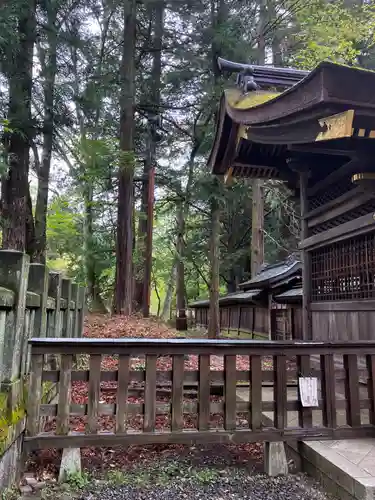 諏訪大社下社春宮の自然