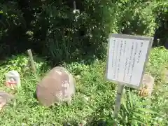 般若寺 ❁﻿コスモス寺❁(奈良県)