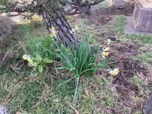 善福寺(神奈川県)