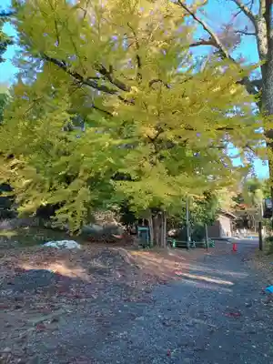 松尾寺(京都府)