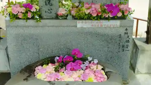 手稲神社(北海道)