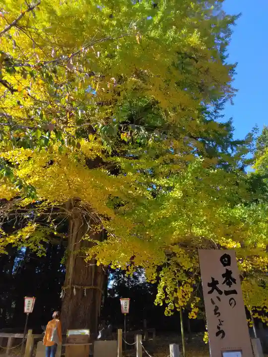 水戸八幡宮(茨城県)