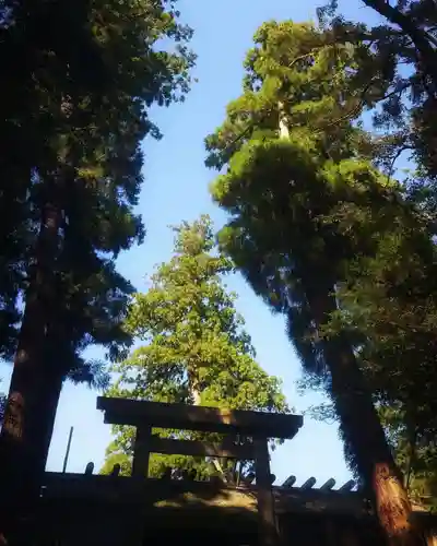 伊勢神宮内宮（皇大神宮）の鳥居