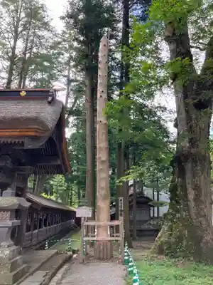 諏訪大社(長野県)