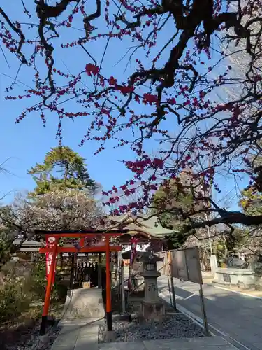 布多天神社(東京都)