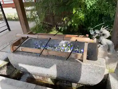 晴明神社の手水舎