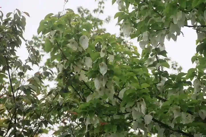古峯神社の庭園