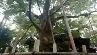 稲荷神社のその他建物