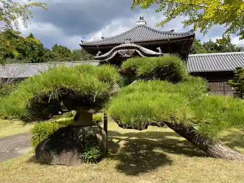 地蔵寺奥の院　五百羅漢堂(徳島県)