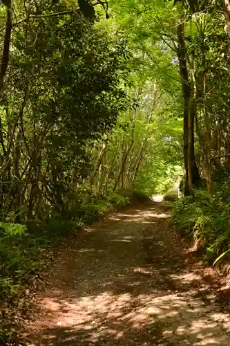 音楽寺(埼玉県)